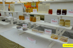 173.2024-09-07-Dorset-County-Show-Dorchester-Dorset.-173-