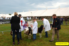 215.2024-09-07-Dorset-County-Show-Dorchester-Dorset.-215-