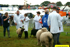 233.2024-09-07-Dorset-County-Show-Dorchester-Dorset.-233-