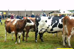 235.2024-09-07-Dorset-County-Show-Dorchester-Dorset.-235-