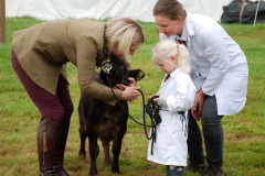 240.2024-09-07-Dorset-County-Show-Dorchester-Dorset.-240-