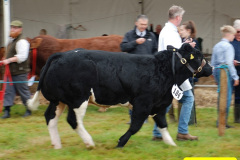 243.2024-09-07-Dorset-County-Show-Dorchester-Dorset.-243-