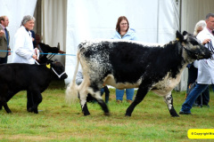 246.2024-09-07-Dorset-County-Show-Dorchester-Dorset.-246-