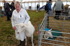 257.2024-09-07-Dorset-County-Show-Dorchester-Dorset.-257-