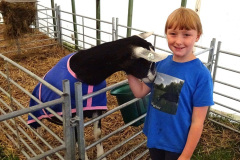 258.2024-09-07-Dorset-County-Show-Dorchester-Dorset.-258-