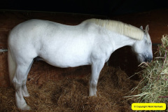 263.2024-09-07-Dorset-County-Show-Dorchester-Dorset.-263-