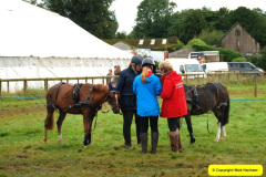273.2024-09-07-Dorset-County-Show-Dorchester-Dorset.-273-