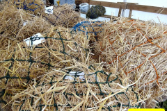 279.2024-09-07-Dorset-County-Show-Dorchester-Dorset.-279-