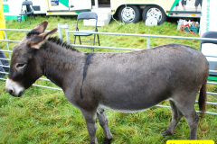 307.2024-09-07-Dorset-County-Show-Dorchester-Dorset.-307-