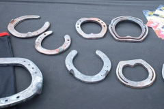 321.2024-09-07-Dorset-County-Show-Dorchester-Dorset.-321-