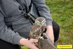 331.2024-09-07-Dorset-County-Show-Dorchester-Dorset.-331-