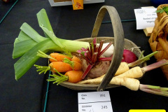 352.2024-09-07-Dorset-County-Show-Dorchester-Dorset.-352-