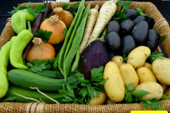 353.2024-09-07-Dorset-County-Show-Dorchester-Dorset.-353-