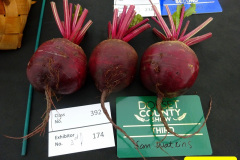 354.2024-09-07-Dorset-County-Show-Dorchester-Dorset.-354-