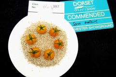 356.2024-09-07-Dorset-County-Show-Dorchester-Dorset.-356-