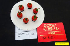 357.2024-09-07-Dorset-County-Show-Dorchester-Dorset.-357-