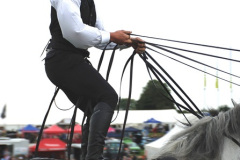 396.2024-09-07-Dorset-County-Show-Dorchester-Dorset.-396-