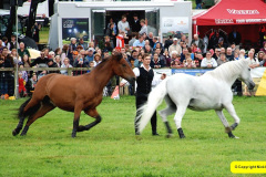 409.2024-09-07-Dorset-County-Show-Dorchester-Dorset.-409-