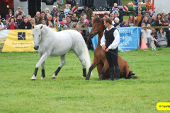 413.2024-09-07-Dorset-County-Show-Dorchester-Dorset.-413-