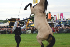 426.2024-09-07-Dorset-County-Show-Dorchester-Dorset.-426-