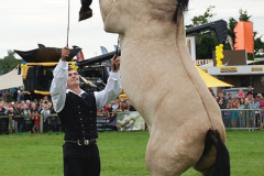 427.2024-09-07-Dorset-County-Show-Dorchester-Dorset.-427-