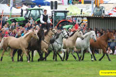430.2024-09-07-Dorset-County-Show-Dorchester-Dorset.-430-