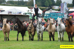 432.2024-09-07-Dorset-County-Show-Dorchester-Dorset.-432-