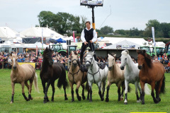 433.2024-09-07-Dorset-County-Show-Dorchester-Dorset.-433-