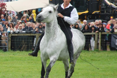 439.2024-09-07-Dorset-County-Show-Dorchester-Dorset.-439-