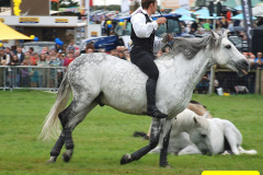 440.2024-09-07-Dorset-County-Show-Dorchester-Dorset.-440-