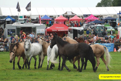 446.2024-09-07-Dorset-County-Show-Dorchester-Dorset.-446-