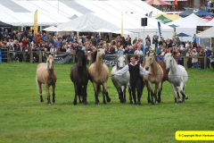 452.2024-09-07-Dorset-County-Show-Dorchester-Dorset.-452-