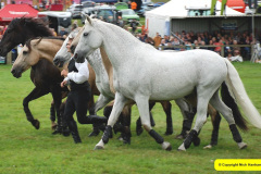 453.2024-09-07-Dorset-County-Show-Dorchester-Dorset.-453-