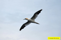 230.2024-09-14-Day-4.-Alesund-Storfjord-Seven-Sisters-Waterfall-Geirangerfjord.-230-