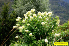 056.2024-09-15-Day-5.-Olden.-56-