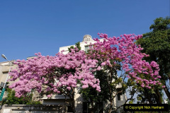 020.2023-04-20-Madagascar.-20-