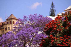 046.2023-04-20-Madagascar.-46-