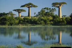 067.2023-04-20-Madagascar.-67-