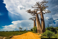 102.2023-04-20-Madagascar.-102-