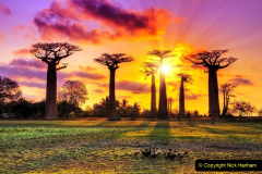 110.2023-04-20-Madagascar.-110-