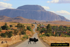 115.2023-04-20-Madagascar.-115-